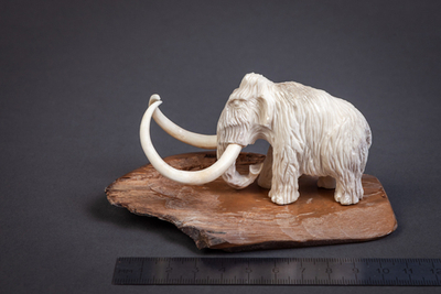 Мамонт шерстистый, рог лося, бивень мамонта