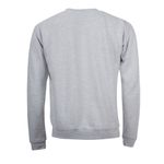 Свитшот SPIDER Серый  L