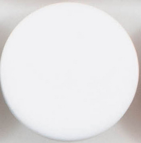 пуговица белая 16L пластик, матовая, на ножке NE189