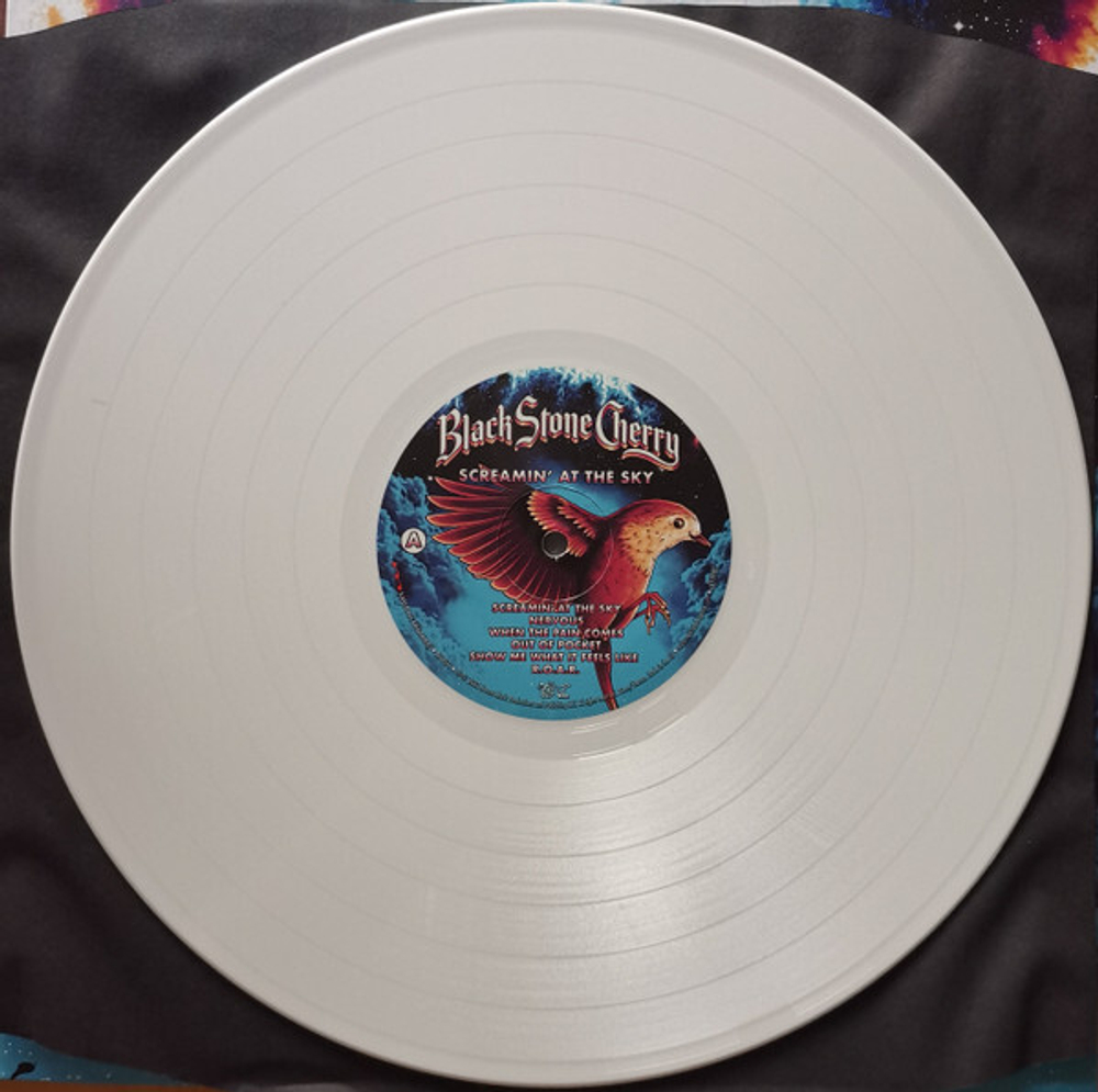 Black Stone Cherry / Screamin' At The Sky (Coloured Vinyl)(LP)