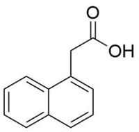 1-нафтилуксусная кислота