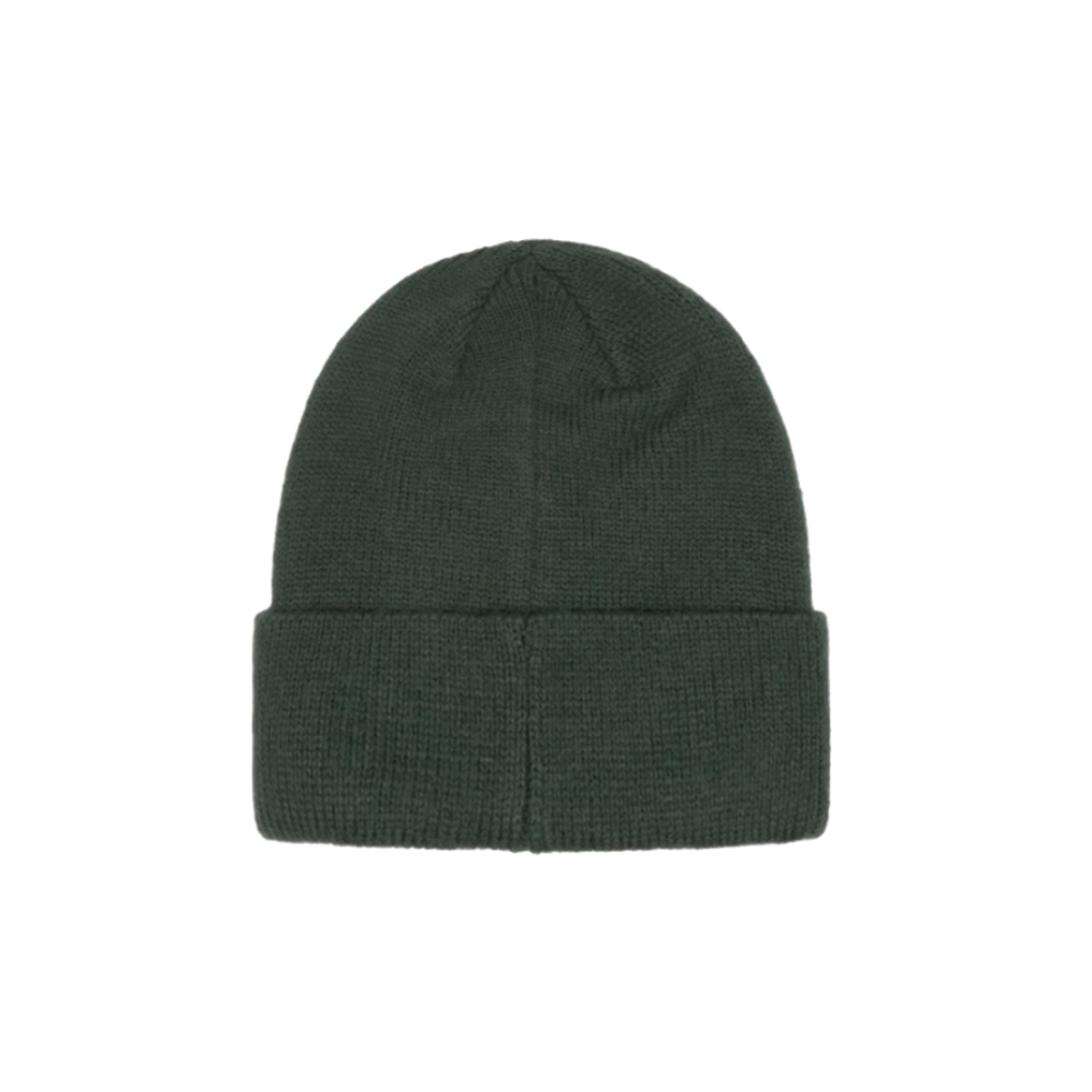 Шапки Stussy, 1321173PINE