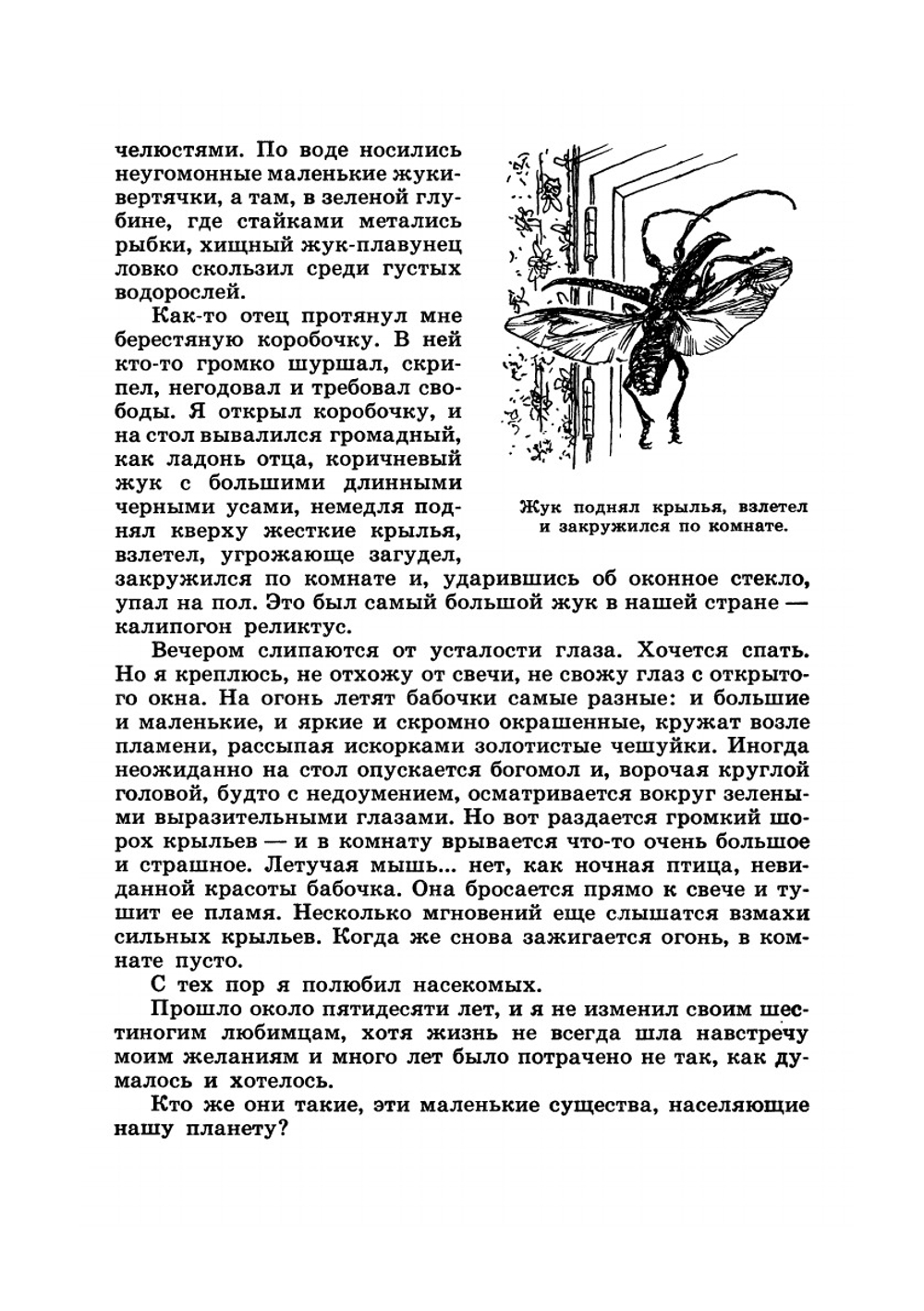 Юному энтомологу | П. И. Мариковский