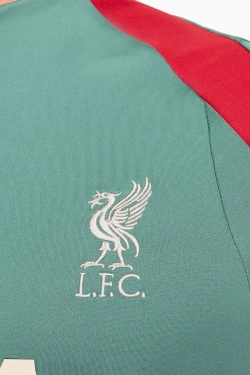 Кофта Nike Liverpool FC 24/25 Strike