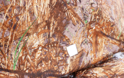 ЗИМНЯЯ ПАЛАТКА POLAR BIRD FAMILY T FEST КАМУФЛЯЖ