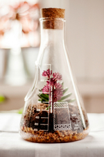 Террариум chemistry