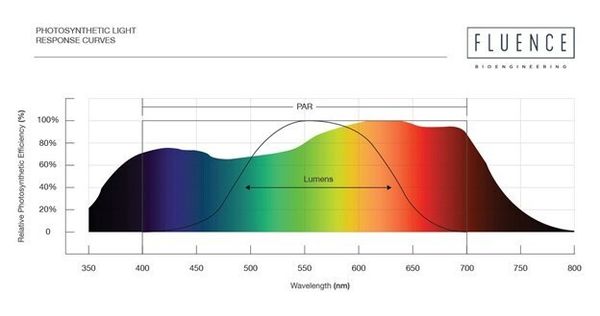 Что такое Люмен, PPFD, PPF? Освещение растений