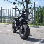 EcoMoto Lion Off-Road E1200W Back Edition