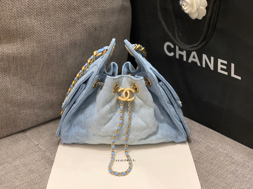 Chanel 25 Mini Handbag 22 cm