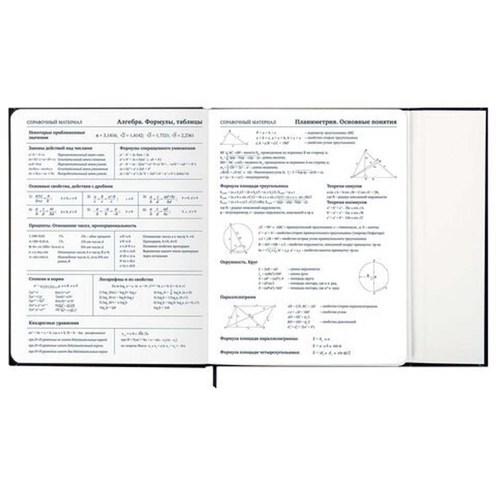 Дневник 1-11 класс 48 л., твердый, BRAUBERG, матовая ламинация, магнитный клапан, закладка-ляссе, с подсказом, "Дракон", 107245