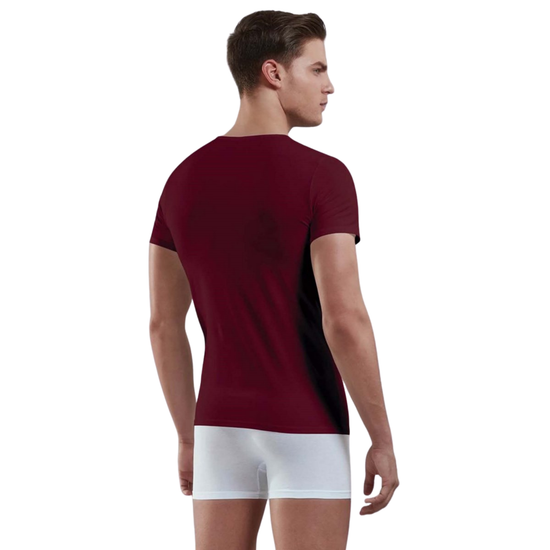 Мужская футболка с V-образным вырезом бордовая Doreanse 2855