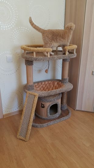 Дом для кота КУН-15 (мейн-кун)