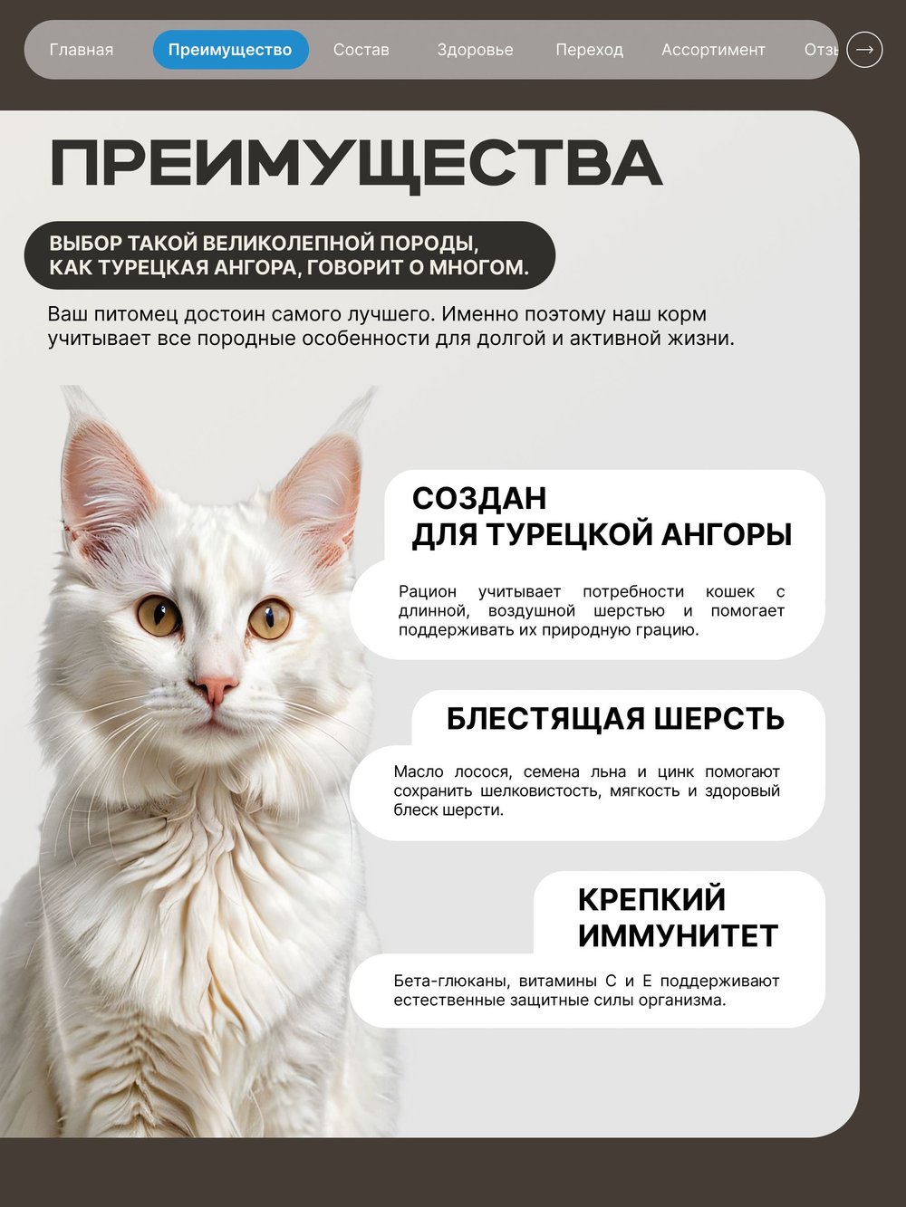 Корм сухой для взрослых кошек породы Турецкая ангора, с лососем, 400 гр, QUATTRO