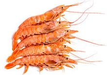 Лангустины Аргентинские с головой L1~500г