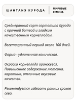 Семена морковь Шантанэ Курода для посадки, 1 гр. семян (Vita Green / Вита Грин)