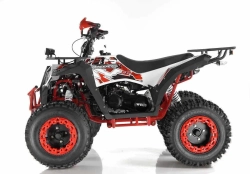 Квадроцикл Wels Evo X2 200cc