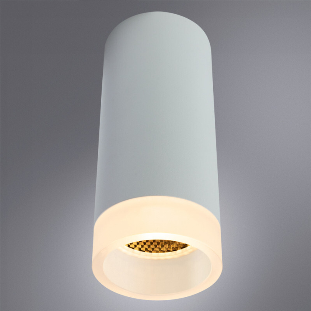 Накладной светильник Arte Lamp A5556PL-1WH