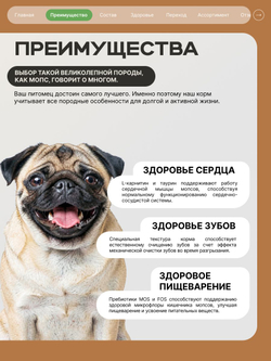 Корм сухой для взрослых собак породы Мопс, с ягненком, 3 кг, QUATTRO