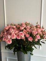 Пионовидная кустовая роза в персиковом оттенке