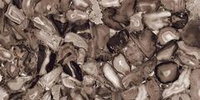 Ennface Accent Volcanic Agate 60x120