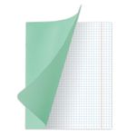 Тетрадь ВЕЛИКИЕ ИМЕНА. Ломоносов М.В., 12 л. клетка, плотная бумага 80 г/м2, обложка тонированный офсет, BRAUBERG, 105712, 20шт