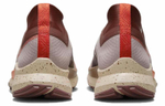 Кроссовки Nike Pegasus Trail 4 Gore-Tex (Женская размерная сетка)
