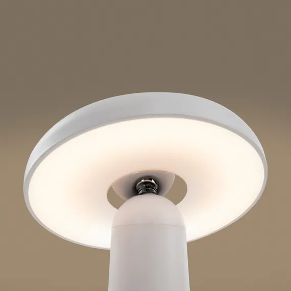 Аккумуляторный светильник Гриб / Mushroom Freya fr6109tl-l4w