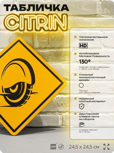 Табличка декоративная "Моноколесо" на дверь и стену, спортивная, информационная, декоративный знак, 24,5х24,5 см, пластиковая, Айдентика Технолоджи