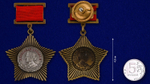 Муляж Орден Суворова II степени (на колодке)