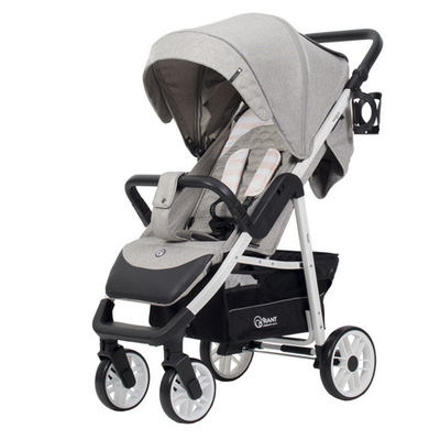 Коляска прогулочная Rant Vega Trends (Серый)