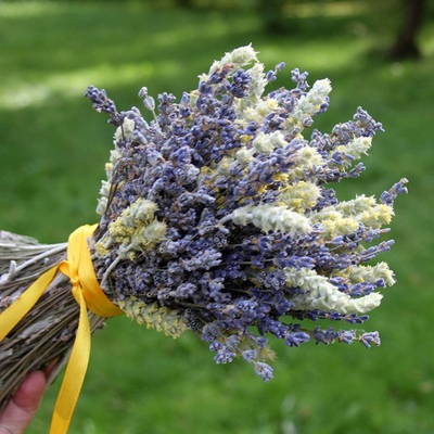 Букет сухоцветов Лаванда и Лимонник