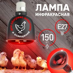 Инфракрасная лампа ЭРА ИКЗК 230-150 R127 для обогрева животных и освещения 150 Вт Е27 | Инфракрасные лампы