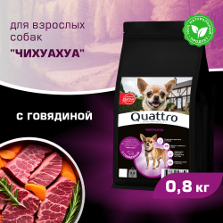 Корм сухой для взрослых собак породы Чихуахуа, с говядиной, 800 гр, QUATTRO