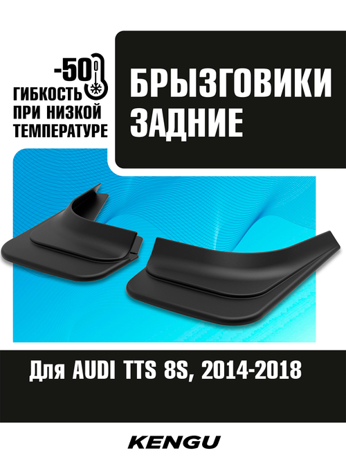 Брызговики задние универсальные для AUDI TTS 8S (2014-2018)