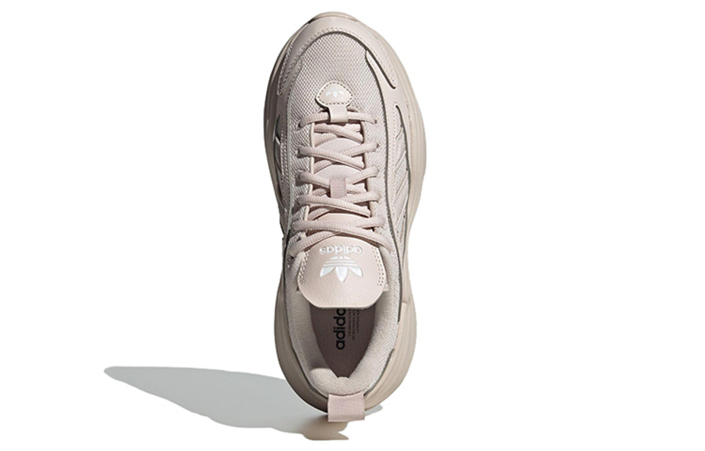 Adidas Originals Ozgaia Putty Mauve