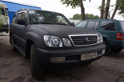 Галерея Раптор