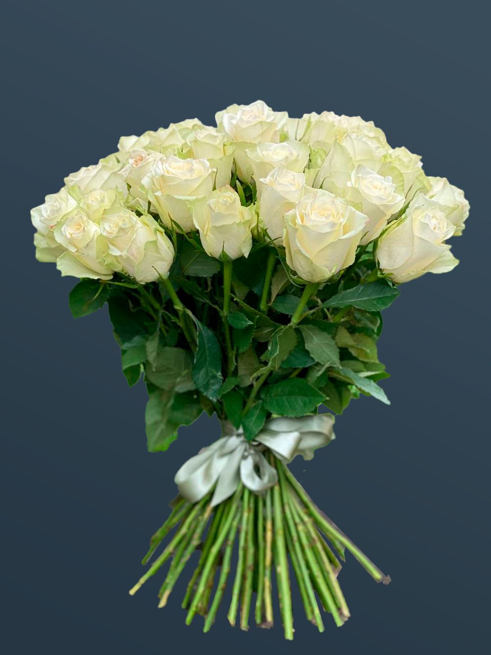 Розы белые 51 шт