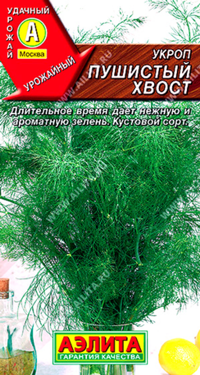 Укроп Пушистый хвост