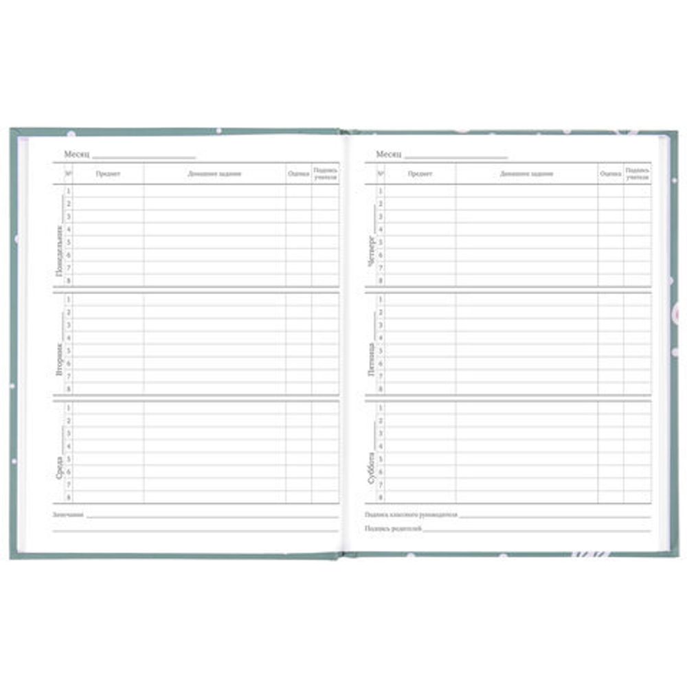 Дневник 5-11 класс 48 л., твердый, BRAUBERG, блестки, с подсказом, "Кактусы", 106420