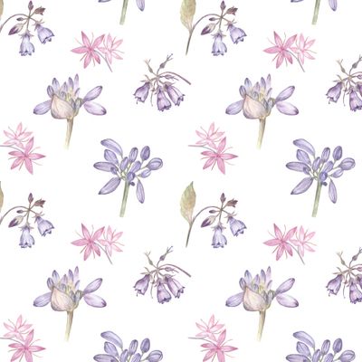 Английский сад 1