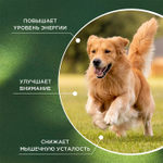 Функциональная кормовая добавка для собак и кошек ProPhyto Энерджи Буст, 30 таблеток