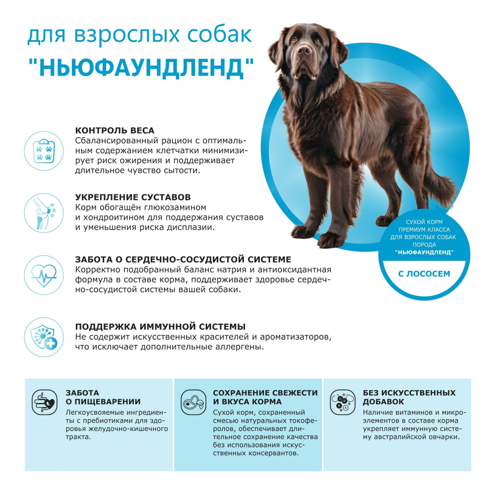 Корм сухой для взрослых собак породы Ньюфаундленд, премиум полнорационный комплекс, с лососем, 2,5 кг, QUATTRO