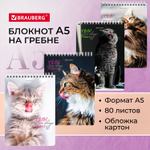 Блокнот А5 (146х206 мм) 80 л. гребень картон клетка BRAUBERG "Довольные коты" (12 штук в упаковке)