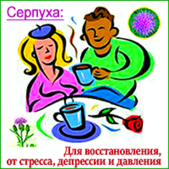 Экдистерона чемпион Серпуха: для спорта, от стресса и давления