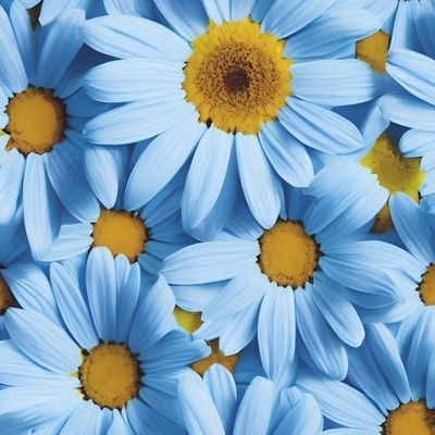Flowers Pattern #4 Daisies