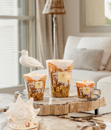 Cocody, свеча MAX 24 Sacred Trees collection, Baobab Collection