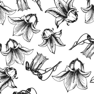 Цветы колокольчика