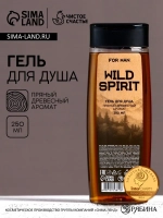 Гель для душа Wild spirit, 250 мл, аромат древесно-пряный, Ч