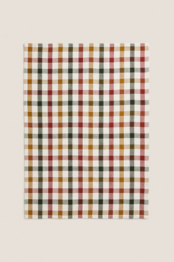 ZARA HOME ЦВЕТНОЕ КЛЕТЧАТОЕ КУХОННОЕ ПОЛОТЕНЦЕ (НАБОР ИЗ 2 ШТ.), ЗЕЛЕНЫЙ