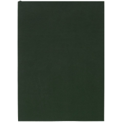 Ежедневник Flat, недатированный, зеленый